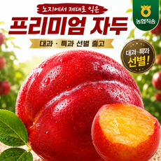 [프리미엄] 김천 노지 대석자두 산지직송 경북 자두, 1개, 1kg 대과(50g내외)