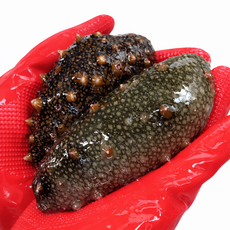 바다의 보양식 횟감용 참해삼, 3개, 500g(2~6미)