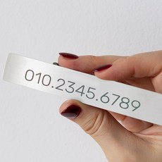 라인하임 논슬립 메탈 자동차 주차번호판 새차선물, 1세트, 실버와이드 문구없음