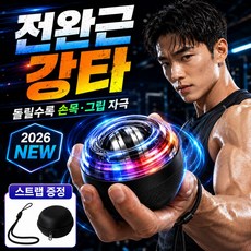 자이로볼 악력 손목 운동기구 파워볼, 1개, 블랙