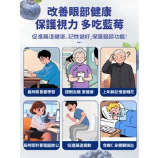 천연 프레쉬 와일드 블루베리 굿 메이트 프리미엄 블루베리 무첨가, 블루베리100g*3