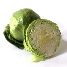 싱싱한 제주 햇 미니 양배추, 3kg, 1개