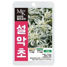 모칸도 좋은씨앗 설악초 씨앗 재래종 30립 꽃씨 꽃씨앗, 1개