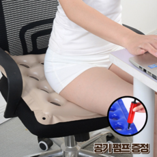 고트 이지고 경량 에어주입 방석 41CM, 베이지