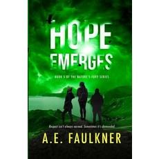 (영문도서) Hope Emerges Paperback, Ae Faulkner, English, 9781949193107