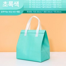 은박보냉팩 100매 일회용 업소용 박스 쿨러백, 50개, 부직포 알루미늄 포일 보온 가방, 그린 소형