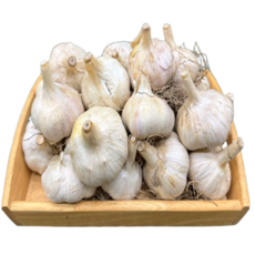 [자연바구니] 국내산 홍산마늘 1개, 한접(5kg) - 소