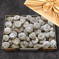 버섯명가 표고버섯 선물세트 백화고 500g(한지함)