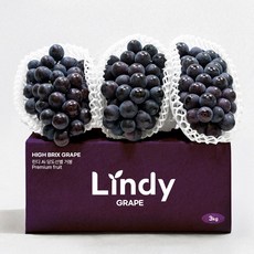 아리당찬 비파괴 당도선별 씨없는 포도 프리미엄 거봉, 1박스, 당도선별 800~1kg(1~2송이)