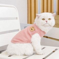 와플면 강아지 고양이 곰들이 베스트 GOT-1005861, 1개, 핑크/L