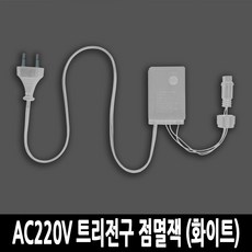 탄탄 LED 100구 AC220V 연결 크리스마스 앵두전구 (전원잭 옵션에서 필수구매), | 추가004 | 점멸잭 (화이트), 1개