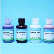 그람염색약세트 125mlx4종세트