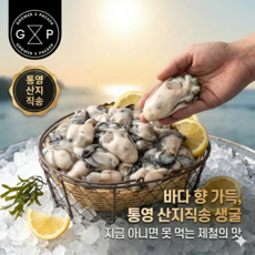 GXP 산지직송 통영생굴 (깐굴) 1kg 3kg 5kg, 1박스