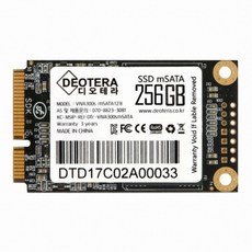 디오테라 VIVA 300S LITE mSATA 256GB