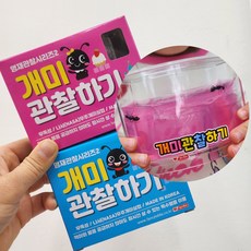 개미키우기 개미관찰하기 소형 미니 2개 핑크 블루