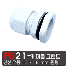 PG-21-흰색 케이블그랜드 소켓 방수 PG 플라스틱 커넥터, 1개