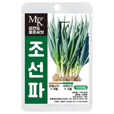 모칸도 좋은씨앗 조선파 씨앗 1000립 잎줄기채소 야채 씨앗, 1개