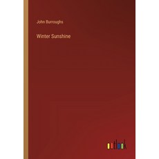 (영문도서) Winter Sunshine Paperback, Outlook Verlag, English, 9783385397156
