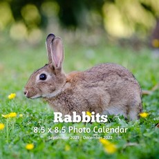 Rabbits 8.5 X 8.5 Calendar September 2021 -December 2022: Monthly Calendar with U.S./UK/ Canadian/Ch... Paperback, Independently Published, English, 9798716975446