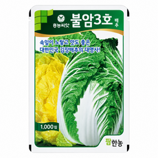 팜한농 불암3호 1000립 26년 포장 김장 노란 배추 흥농씨앗 종자, 1개