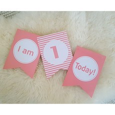 생일파티 각종모임 기념일 액세서리 가랜드 모음1 (2개입), 2개, 옵션7-2