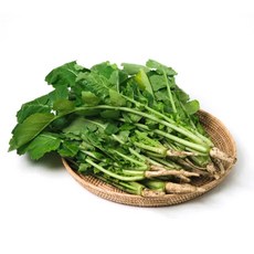 의령농산 건강채소 국내산 열무 700g/1kg/2kg, 1박스, 2kg