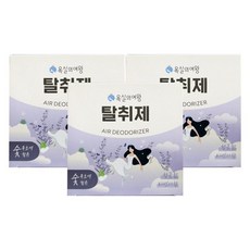 욕실의여왕 생활 탈취제 / 라벤더 / 3개 / DY