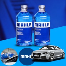 TT(8S)(14~) 말레 프리미엄 에탄올 워셔액 2L 청포도향 2개