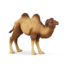 Papo - BACTRIAN CAMEL 손으로 그린 사실적인 피규어 만 야생 동물의 교육용 장난감 생활 두 개의 혹 충실한 디테일 11.8cm4.6인치 선물 아이디어 사막, Papo - BACTRIAN CAMEL 손으로 그린 사