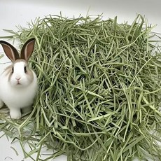 寵物牧草 適合兔子、荷蘭豬、龍貓食用 豐富高纖維, 1個