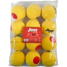펜 QST 36 테니스 공 - 초보자를 위한 청소년 폼 레드, 12구 폴리백