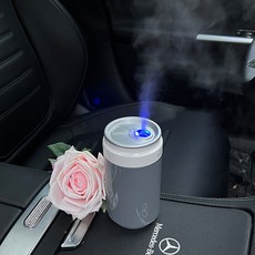 PYHO 캔 미니 무선 휴대용 차량용 가습기, 그레이