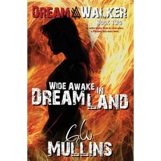 (영문도서) Wide Awake In Dream Land Hardcover, Light of the Moon Publishing, English, 9781737710059