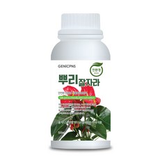 식물영양제 관엽식물 화초 뿌리발달 폴리인산 아미노산 광합성촉진성분 제닉피앤에스 친환경 고농축 화초영양제 뿌리잘자라, 1개, 500ml