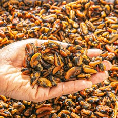 제철밥상 수작업! 촉촉한 남해 자숙 건홍합, 1개, 200g