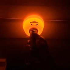 小紅書同款馬桶塞小夜燈 抽象搞笑糞圍感爆款田中搞怪手電潮玩禮物 包包吊飾, 田中'糞'圍感小夜燈【1個】