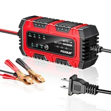 FOXSUR 6V 12V 지능형 배터리 충전기 오토바이 스쿠터 삼륜차 LiFePO4 AGM EFB GEL, 02 EU Plug