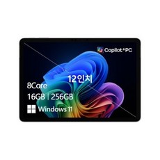 마이크로소프트 2025 서피스 프로 스냅드래곤, 플래티넘, 256GB, 16GB, WIN11 Home, EP2-27655