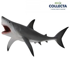 컬렉타 입을 벌린 백상아리 (상어), 1개