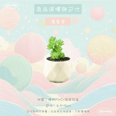 仿真植物 多肉盆栽 桌面擺飾, 1個, 薄雪草