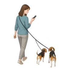 패피퍼피 꼬이지않는 트윈 듀얼 두마리 리드줄, 1개, 블랙