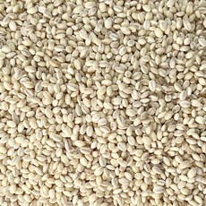 국산 햇 찰보리(2025년산), 4개, 1kg