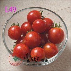 L49 圓型條紋蕃茄種子 中包裝 味道濃郁, 1包