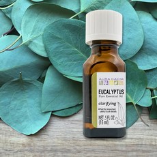 Aura cacia 卡希雅 原萃精油 15ml renewing, 1個, 卡希雅尤加利純精油15ml