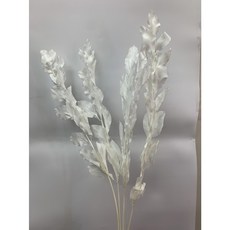 花藝夢*不凋玉竹葉 整把販售 單色 漸變玉竹葉 永生花 乾燥花 不凋花 現貨, 白色