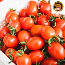 대추 특품 방울 토마토, 1개, 1kg 대 (1~2번과)