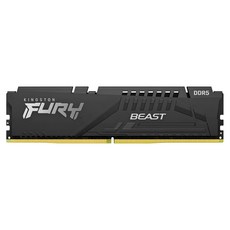 Kingston E-스포츠 DDR5 5600MHz 데스크톱용 램 16GB 블랙, 1개, KF552C40BB