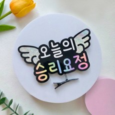 새벽별공방 오늘의 승리요정 토퍼 머리핀 야구 축구 농구 배구 직관 스포츠 응원용품, 1개