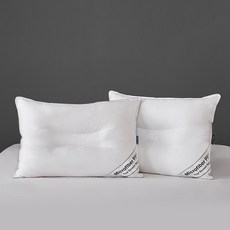 프로텍트어베드 플래티넘 마이크로화이버 경추베개솜 40x60, 기본상품