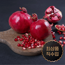 [산지직수입] 붉은 빛 과즙 가득한 품질선별 석류, 1박스, 석류 중과  5Kg (14~15과)
